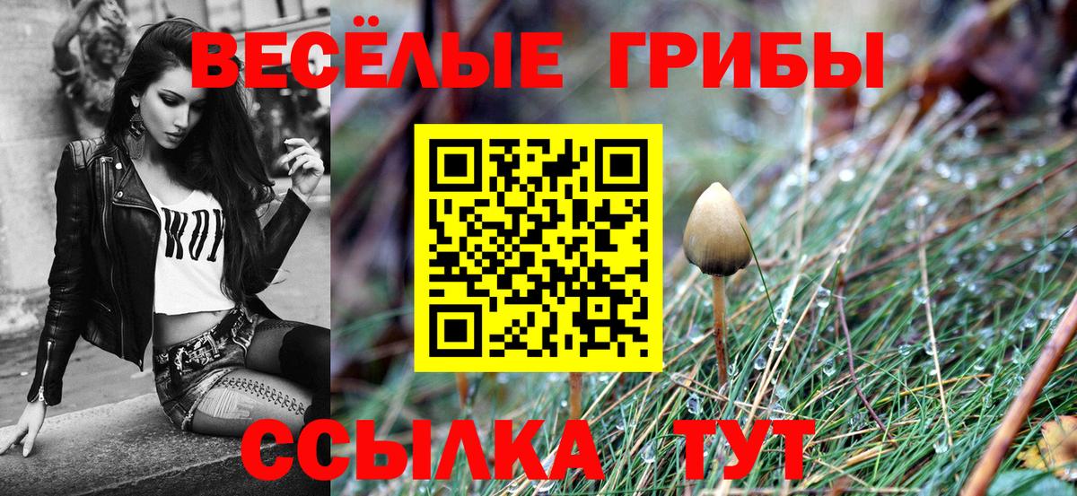 Череповец  Галлюциногенные грибы Psilocybe  Вход с VPN 