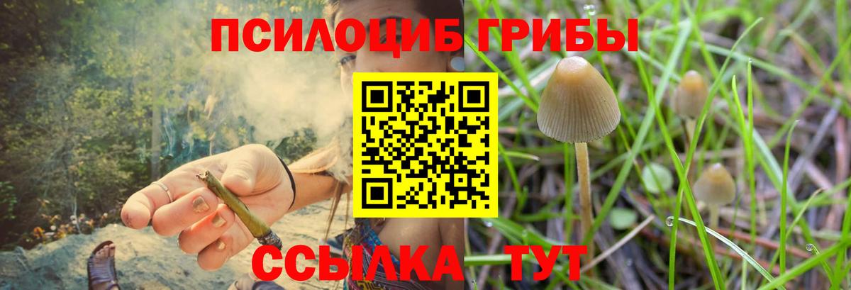Псилоцибиновые грибы прущие грибы Череповец